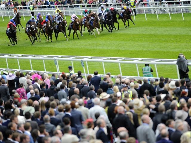 Tony's best bet for Saturday comes from York
